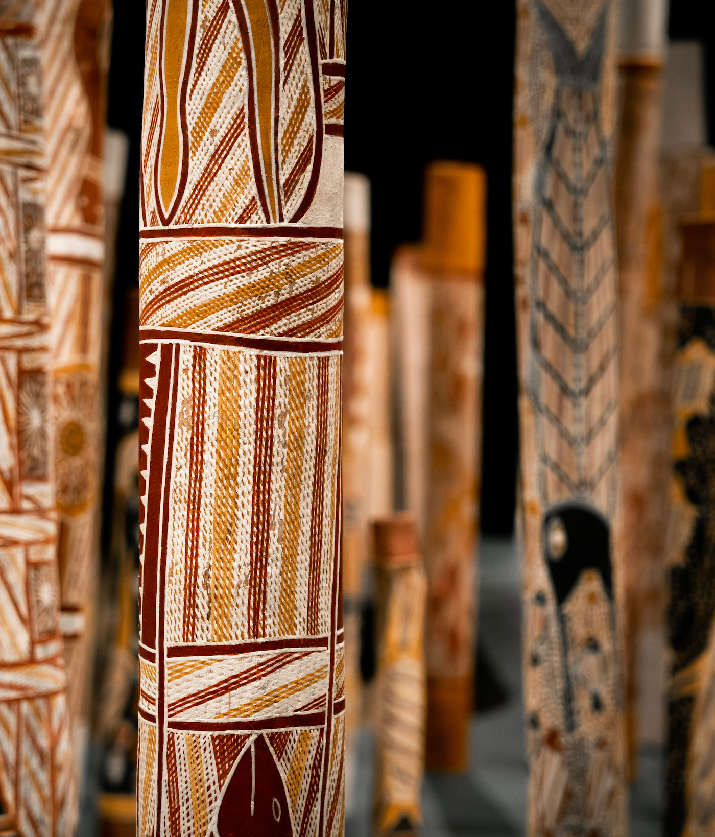 Innovate Reconciliation Action Plan (RAP)